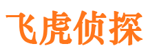 广陵市私家侦探